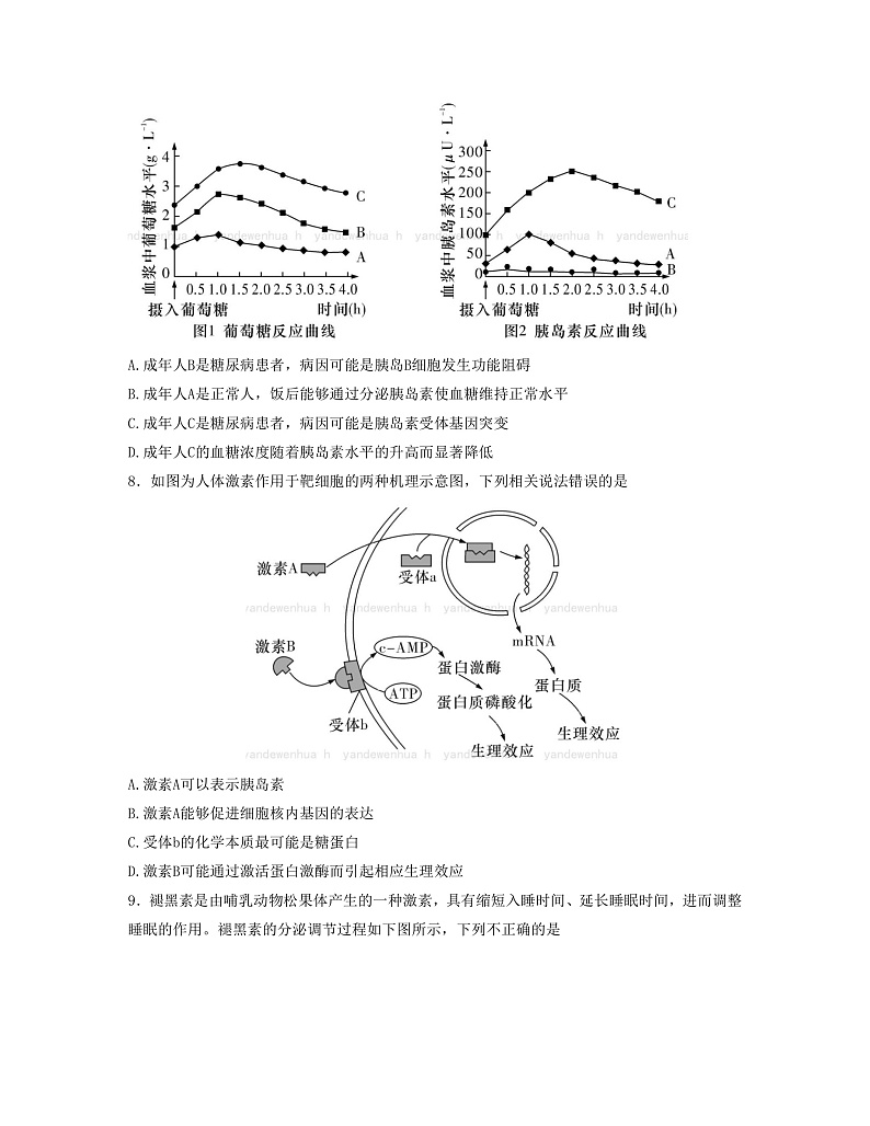 2023湖南师大附中高二上学期期中生物试卷含答案03
