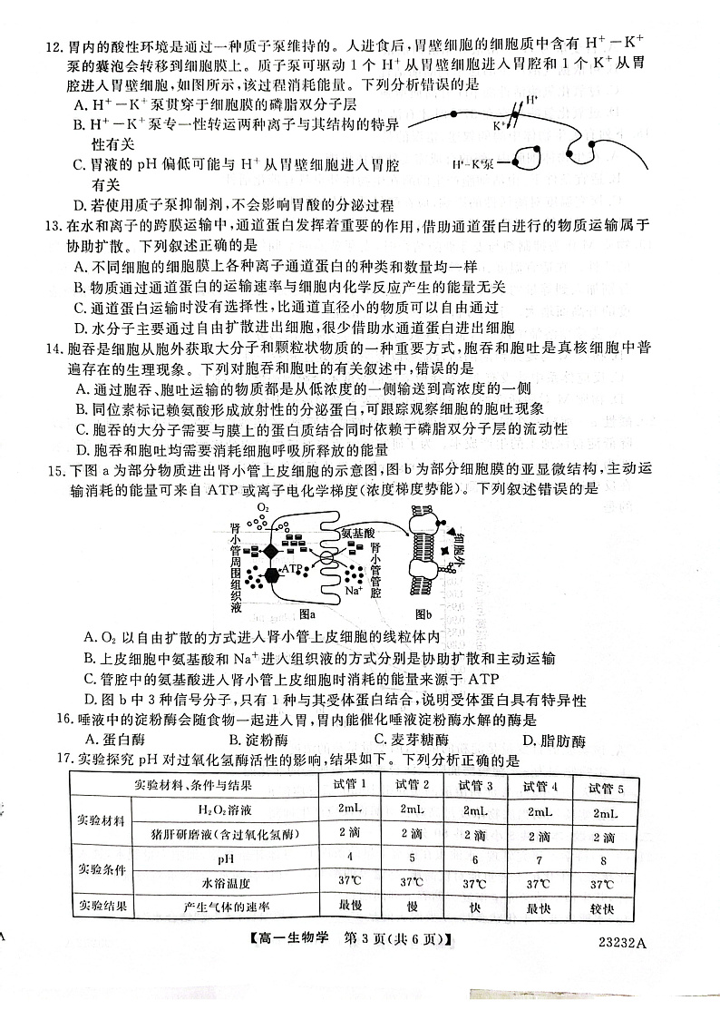2023宝鸡教育联盟高一上学期质量检测（二）生物PDF版含答案03