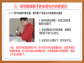 苏教版小学科学四下第二单元《8.太阳钟》课件PPT+教案+作业+视频