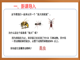 苏教版小学科学四下第三单元《9.庞大的家族》课件+教案+作业+视频