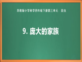 苏教版小学科学四下第三单元《9.庞大的家族》课件+教案+作业+视频
