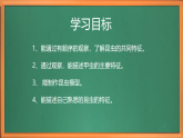 苏教版小学科学四下第三单元《9.庞大的家族》课件+教案+作业+视频