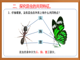 苏教版小学科学四下第三单元《9.庞大的家族》课件+教案+作业+视频