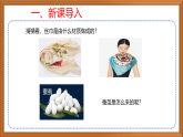 苏教版小学科学四下第三单元《10.养昆虫》（第一课时）课件+教案+作业+视频