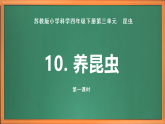 苏教版小学科学四下第三单元《10.养昆虫》（第一课时）课件+教案+作业+视频