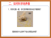 苏教版小学科学四下第三单元《10.养昆虫》（第一课时）课件+教案+作业+视频