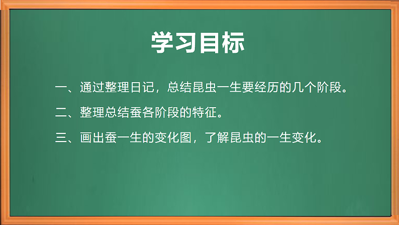苏教版小学科学四年级下册第三单元【10.养昆虫】（第二课时）课件第3页