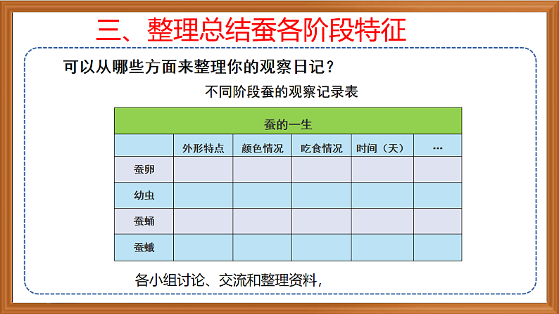 苏教版小学科学四年级下册第三单元【10.养昆虫】（第二课时）课件第6页