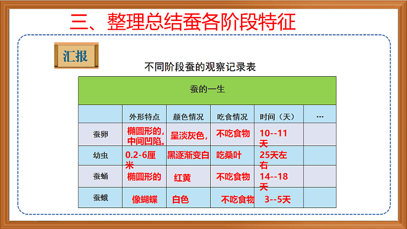 苏教版小学科学四年级下册第三单元【10.养昆虫】（第二课时）课件第7页