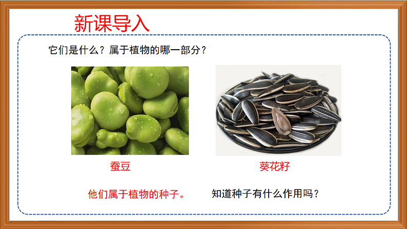 苏教版小学科学四年级下册第四单元《12.用种子繁殖》课件第1页