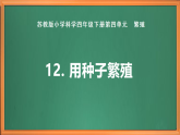 蘇教版小學(xué)科學(xué)四下第四單元《12.用種子繁殖》課件+教案+作業(yè)+視頻