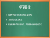 蘇教版小學(xué)科學(xué)四下第四單元《12.用種子繁殖》課件+教案+作業(yè)+視頻