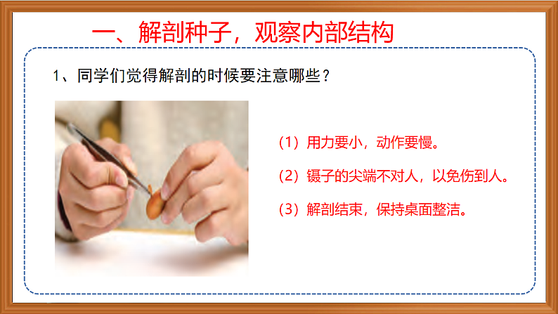 苏教版小学科学四年级下册第四单元《12.用种子繁殖》课件第4页