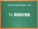 苏教版小学科学四下第四单元《13.用根茎叶繁殖》课件+教案+作业+视频