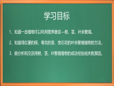 苏教版小学科学四下第四单元《13.用根茎叶繁殖》课件+教案+作业+视频