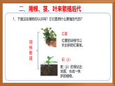 苏教版小学科学四下第四单元《13.用根茎叶繁殖》课件+教案+作业+视频