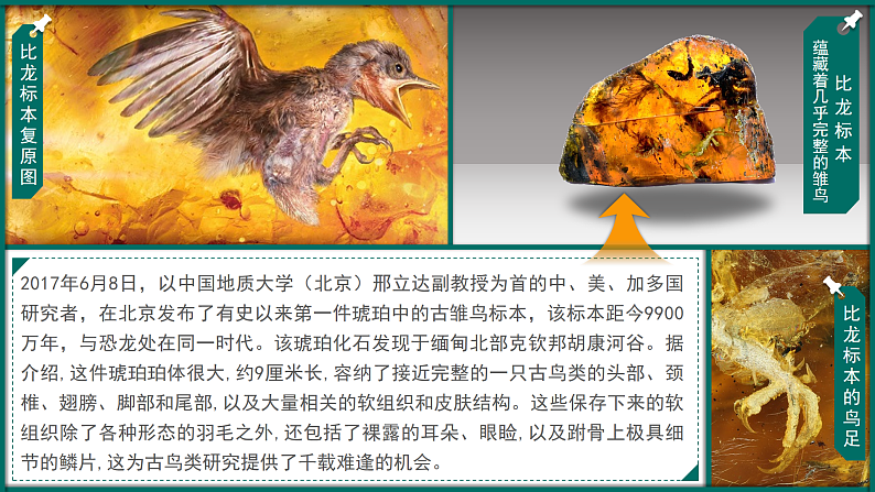 1.4 《地球的演化》课件02