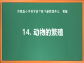 蘇教版小學(xué)科學(xué)四下第四單元《14.動物的繁殖》課件+教案+作業(yè)+視頻