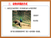 蘇教版小學(xué)科學(xué)四下第四單元《14.動物的繁殖》課件+教案+作業(yè)+視頻