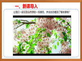 蘇教版小學(xué)科學(xué)四下第五單元《15.生物與非生物》課件+教案+作業(yè)+視頻