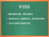 蘇教版小學(xué)科學(xué)四下第五單元《15.生物與非生物》課件+教案+作業(yè)+視頻