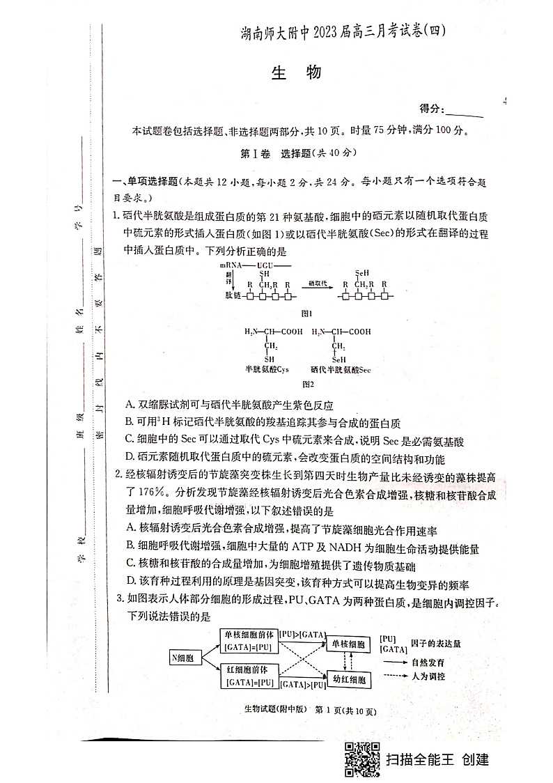 湖南省长沙市湖南师大附中2022-2023学年高三上学期月考（四）生物试题第1页