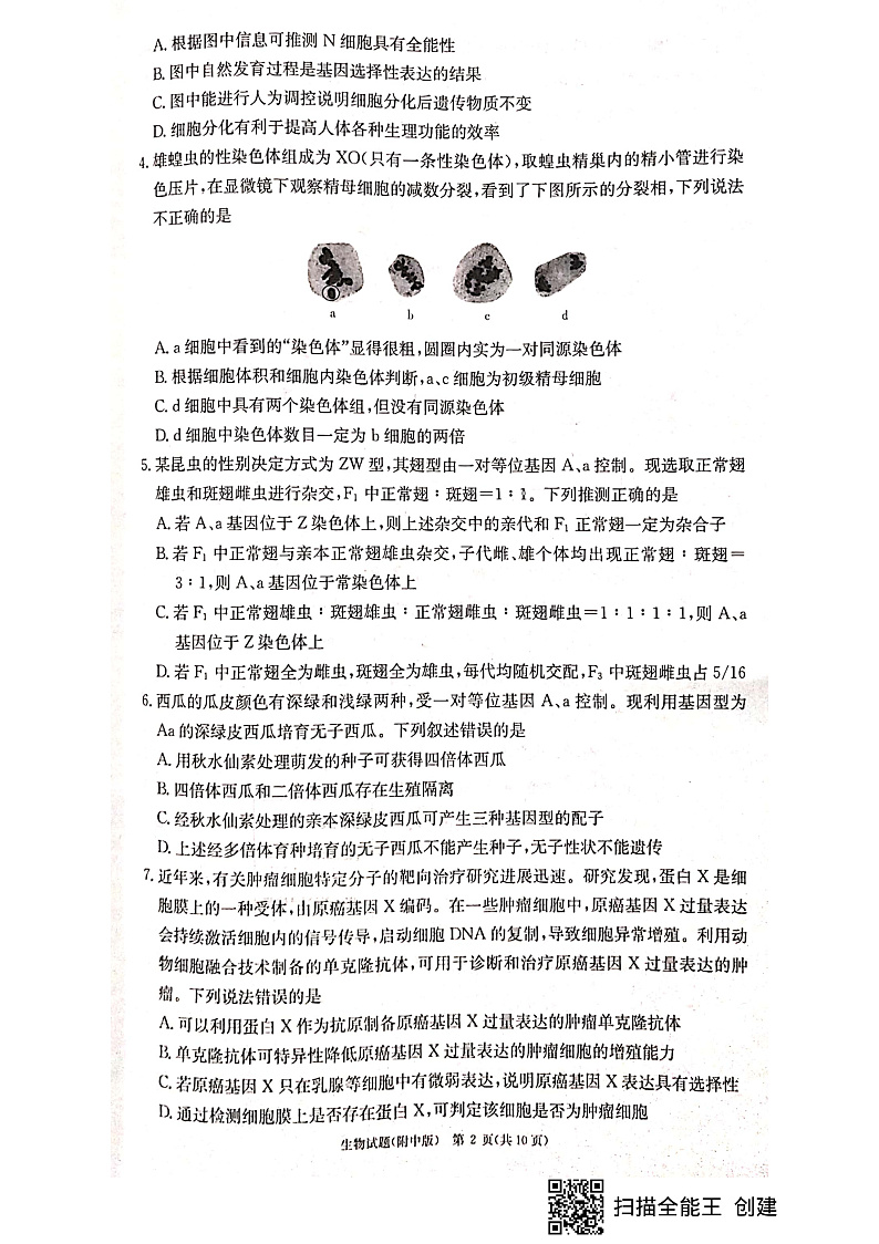 湖南省长沙市湖南师大附中2022-2023学年高三上学期月考（四）生物试题第2页