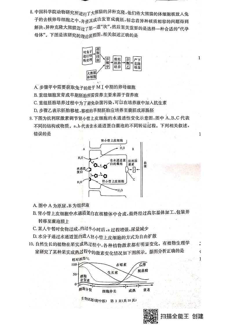 湖南省长沙市湖南师大附中2022-2023学年高三上学期月考（四）生物试题第3页