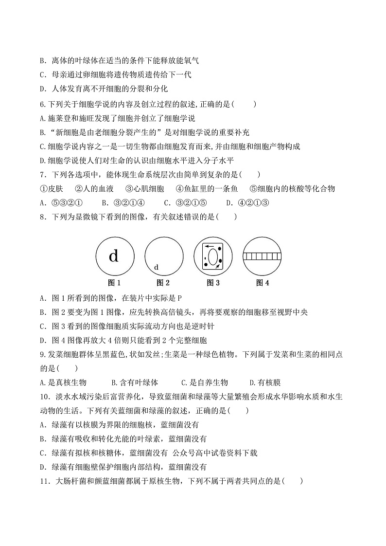 甘肃省张掖市2022-2023学年高一上学期适应性模拟考试生物试题第2页