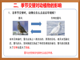 苏教版小学科学四下第五单元《17.环境变化以后》课件+教案+作业+视频