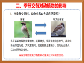 苏教版小学科学四下第五单元《17.环境变化以后》课件+教案+作业+视频