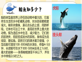 Unit 7 What's the highest mountain in the world？SectionB 3a-Selfcheck寫作課件+導(dǎo)學(xué)案+音視頻素材