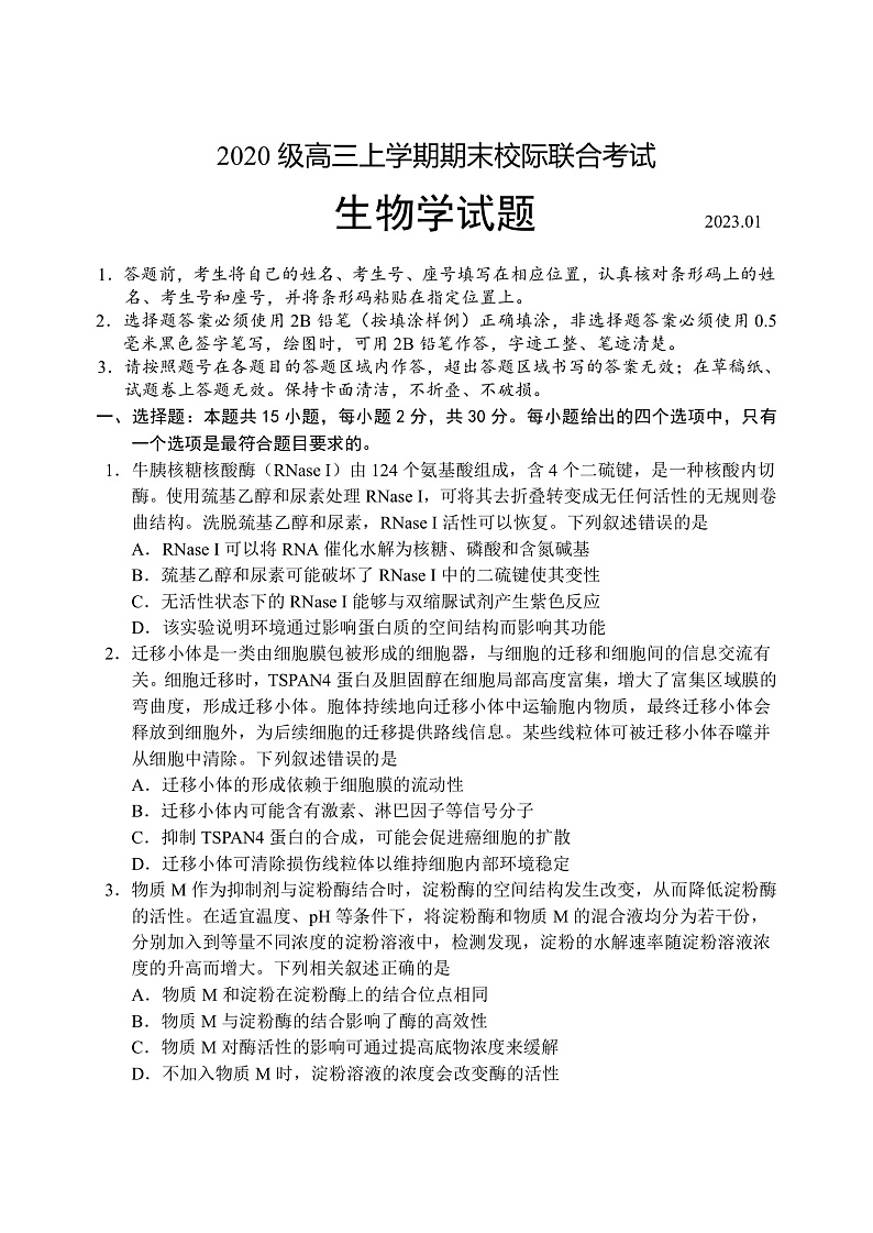 2023日照高三上学期期末校际考试生物含答案01