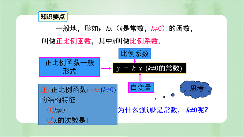 专题19.2.1 正比例函数（课件+练习）精编八年级数学下册同步备课系列（人教版）06