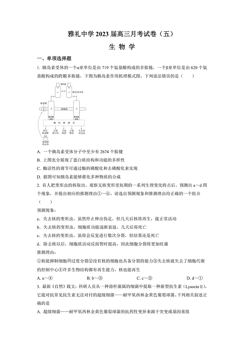 湖南省长沙市雅礼中学2022-2023学年高三上学期月考卷（五）生物试题（原卷版）第1页