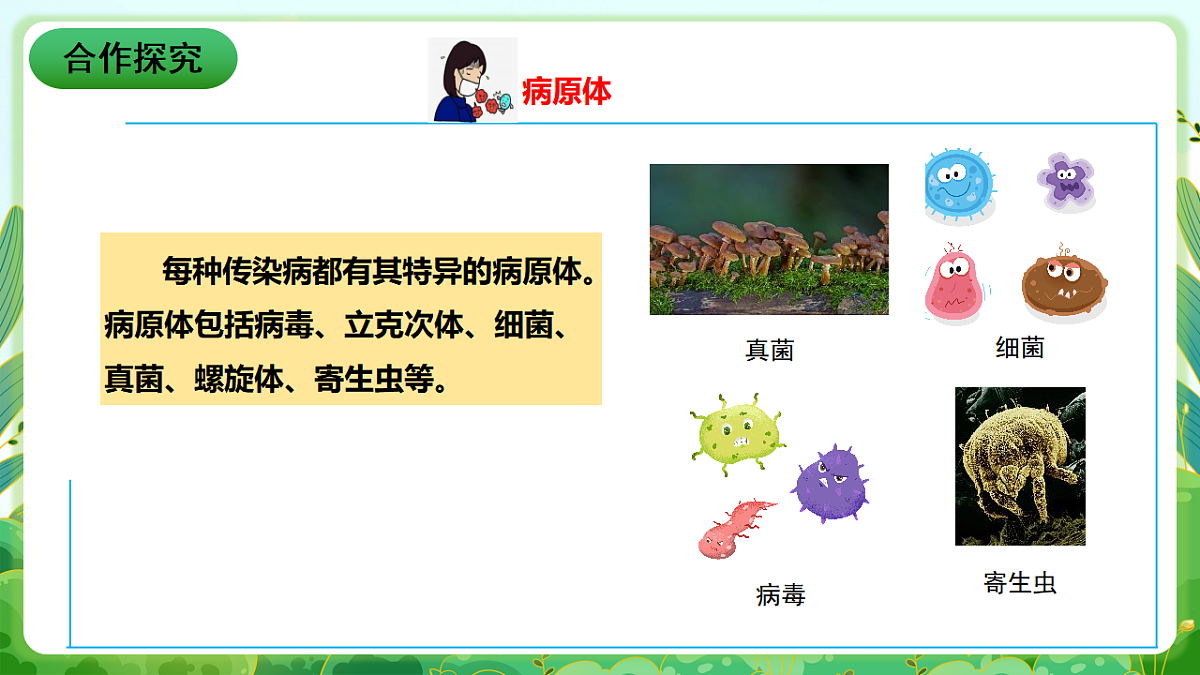 川教版生命生态安全八年级下册6《常见传染病及预防》课件第6页