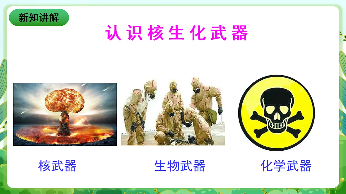 川教版生命生态安全九年级下册9《核生化武器及其防护》课件第3页