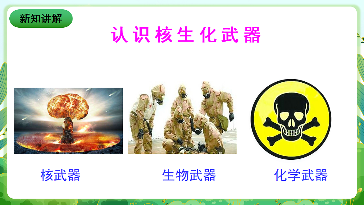川教版生命生态安全九年级下册9《核生化武器及其防护》课件第3页