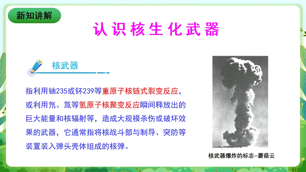 川教版生命生态安全九年级下册9《核生化武器及其防护》课件第4页