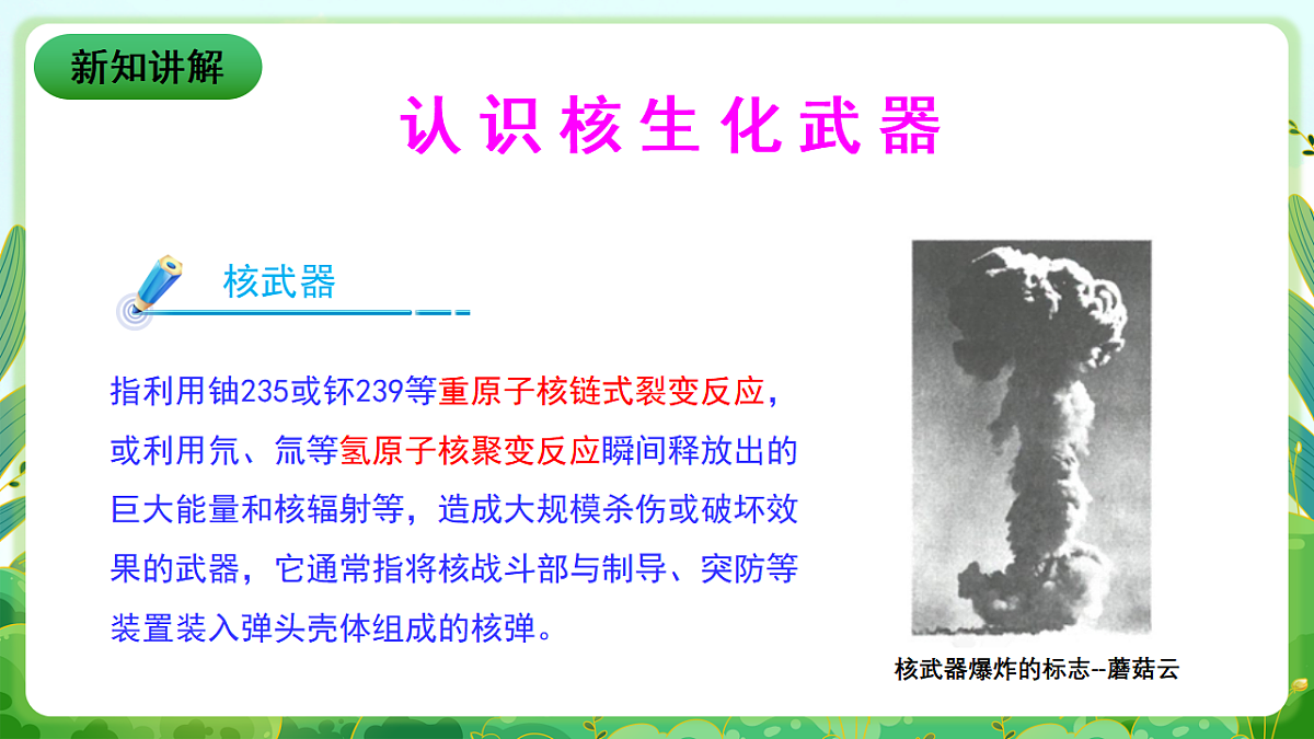 川教版生命生态安全九年级下册9《核生化武器及其防护》课件第4页