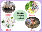 Unit 2 We’re going to do some research 第1課時（Part A，Part B）課件+教案+素材