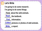 Unit 2 We’re going to do some research 第3課時（Part E，Part F）課件+教案+素材