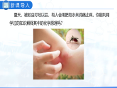 实验活动6 酸、碱的化学性质（教学课件）-九年级化学下册同步教学课件 课时练（人教版）