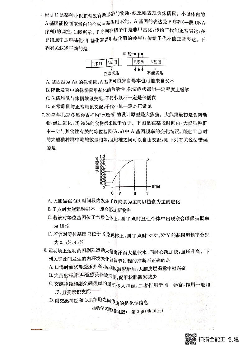 2023长沙雅礼中学高三下学期月考卷（六）生物试卷含答案03