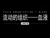 新人教版（新课标）生物七下：4.1《流动的组织——血液》课件+教案