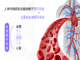 新人教版（新课标）生物七下：4.1《流动的组织——血液》课件+教案