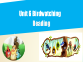 Unit 6  Reading（课件）牛津译林版八年级英语上册