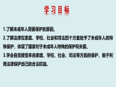 10.1 法律为我们护航  课件-2022-2023学年部编版七年级道德与法治下册