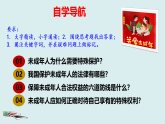 10.1 法律为我们护航  课件-2022-2023学年部编版七年级道德与法治下册