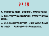 10.1 法律为我们护航  课件-2022-2023学年七年级道德与法治下册